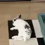 ぃちごのプロフィール画像
