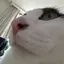 ほののプロフィール画像