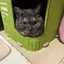 Mのプロフィール画像