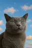 たけだのプロフィール画像