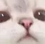 かりんのプロフィール画像