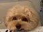 うのさぶのプロフィール画像