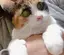 はなのプロフィール画像