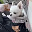 れいなのプロフィール画像