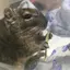 ゆのプロフィール画像