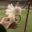 果南のプロフィール画像