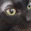 うなのプロフィール画像