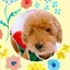 しおりのプロフィール画像