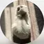 36のプロフィール画像