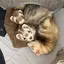 ゆうきのプロフィール画像