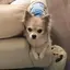 モミコのプロフィール画像