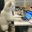 あもえどのプロフィール画像