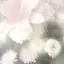 ♡のプロフィール画像