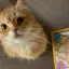 ゆめのプロフィール画像