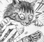 nemのプロフィール画像
