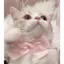 ‪^_−♡‬のプロフィール画像