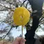 Mのプロフィール画像