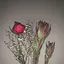 miのプロフィール画像