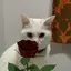 simのプロフィール画像