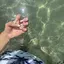 緋咲のプロフィール画像