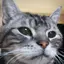 アメちゃんのプロフィール画像