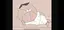 rのプロフィール画像