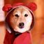 めめめめのプロフィール画像