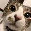 まりのプロフィール画像
