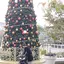 ゆうのプロフィール画像