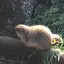 波希のプロフィール画像
