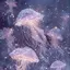 ﾊﾆのプロフィール画像
