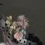 sのプロフィール画像