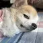 香奈のプロフィール画像