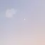 Nozoのプロフィール画像