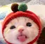 Amiのプロフィール画像