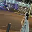 めちゃのプロフィール画像