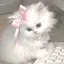 🎀のプロフィール画像