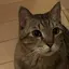 はるのプロフィール画像