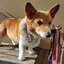 おーちゃんのプロフィール画像