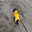 瞳のプロフィール画像