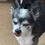 さちのプロフィール画像