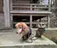 慶子のプロフィール画像