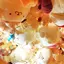 もっちーのプロフィール画像