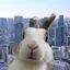 ゆうかのプロフィール画像