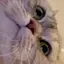ryのプロフィール画像