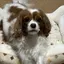 ゆうのプロフィール画像