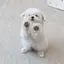 omochiのプロフィール画像
