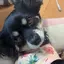 さくのプロフィール画像
