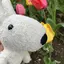 きょんそめのプロフィール画像