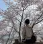 Lingのプロフィール画像